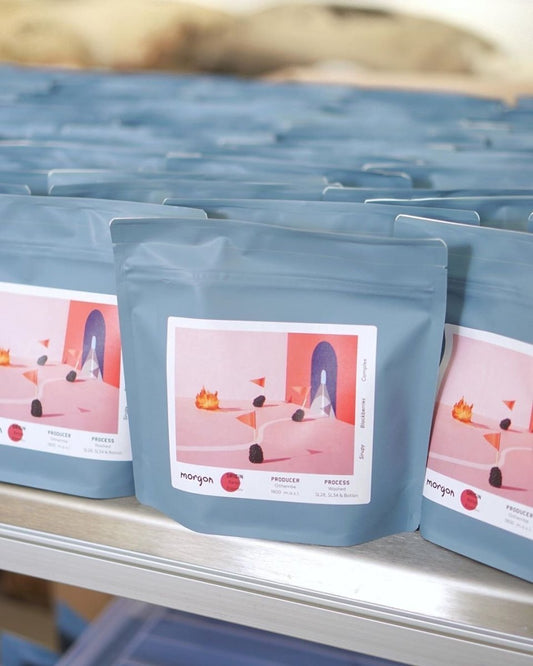 Morgon Coffee Roasters in September | Bean Bros.