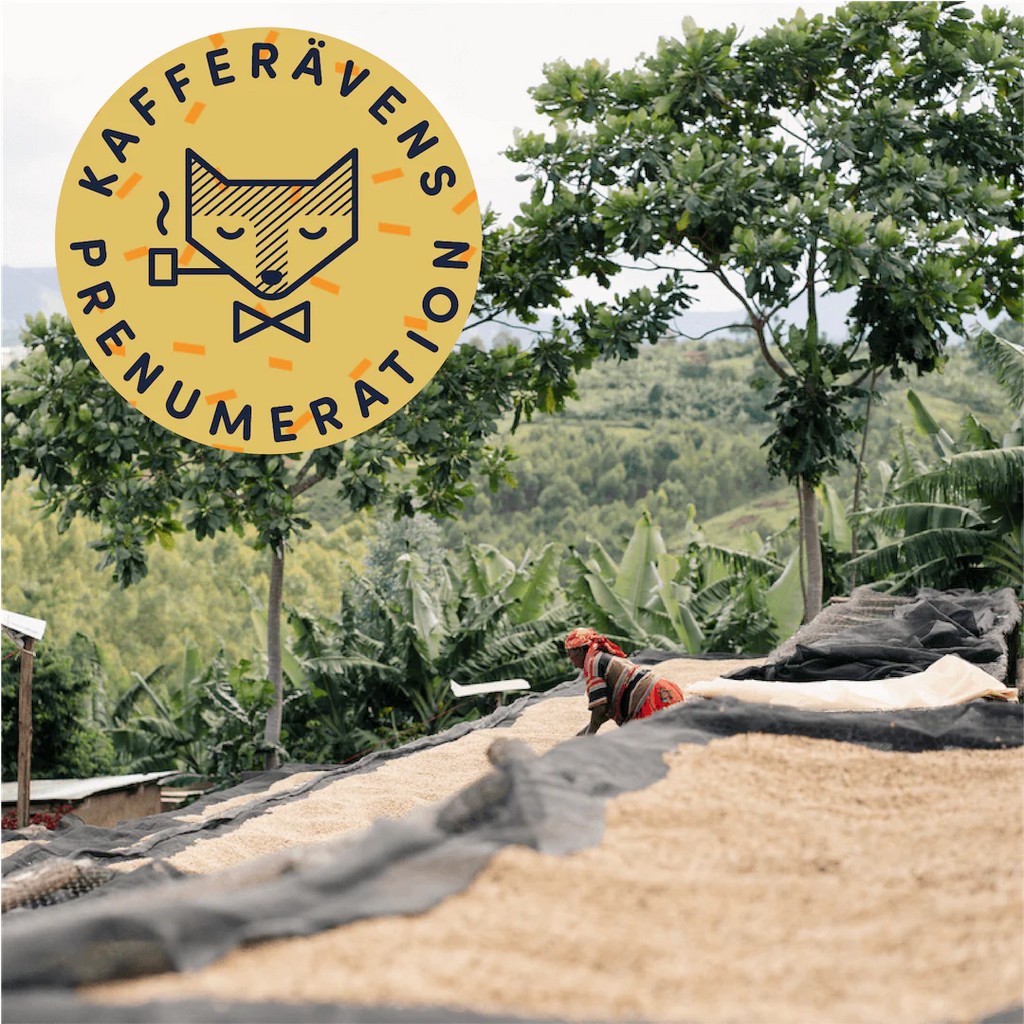 Kafferaven by Per Nordby - June 2023 Featured Roaster