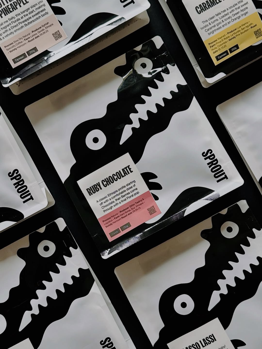 SPROUT COFFEE ROASTERS - Featured Roaster in March 2026