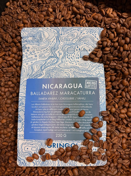 GRINGO  NORDIC COFFEE ROASTERS - Featured Roaster in June 2026