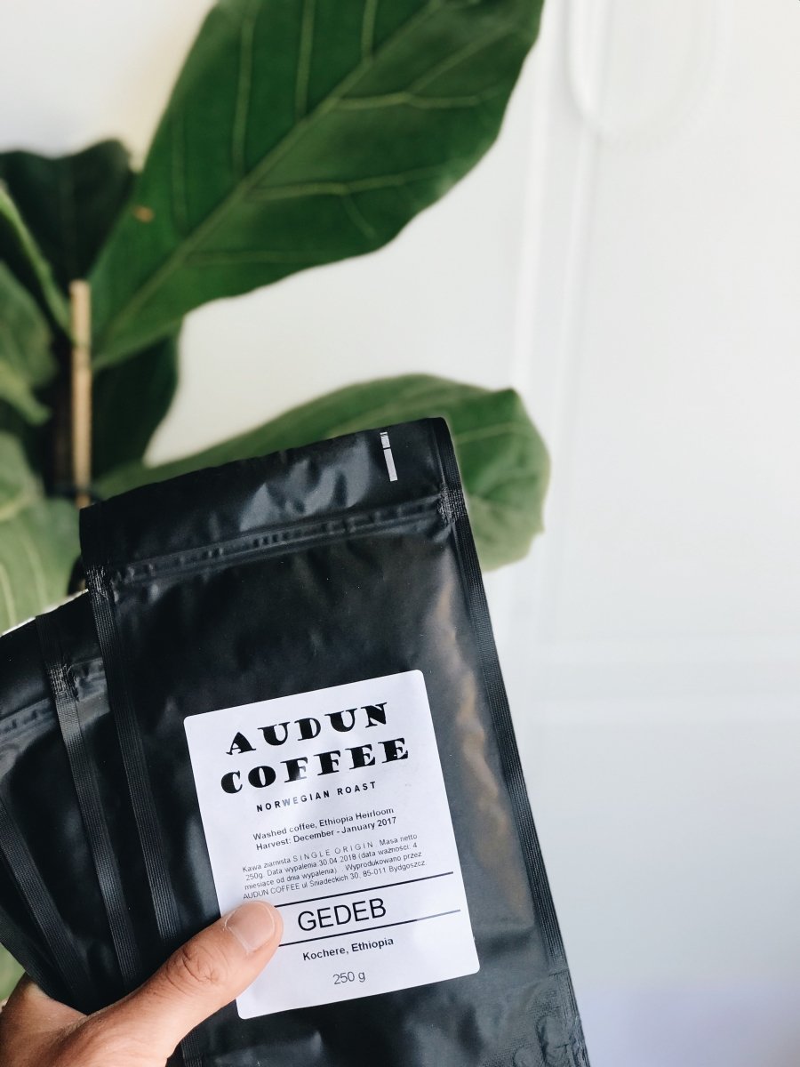 Featured Roaster in June: Audun Sørbotten | Bean Bros.